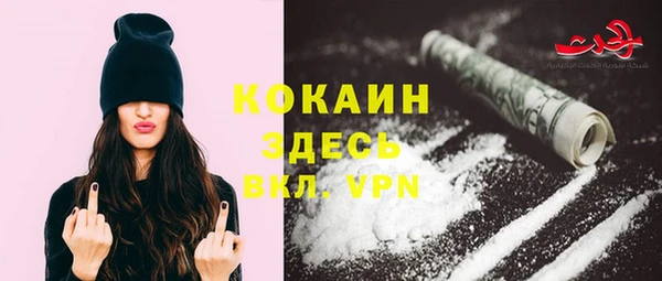 винт Бородино