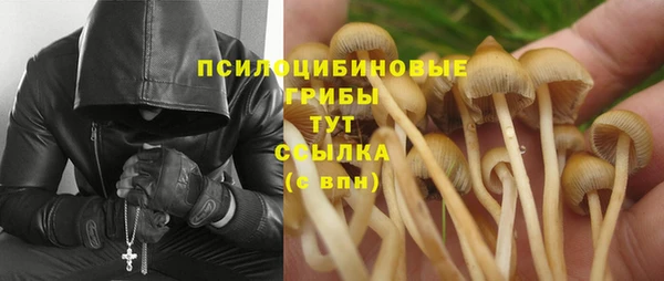 амф Богданович