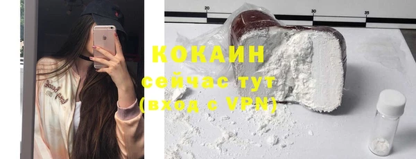 гидра Богородицк