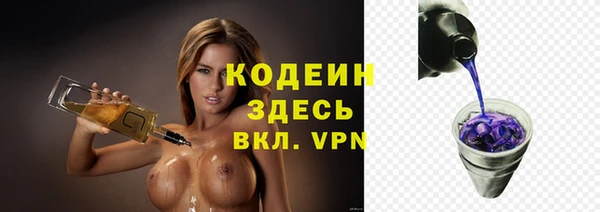 гидра Богородицк