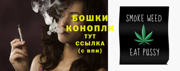 ECSTASY Бронницы
