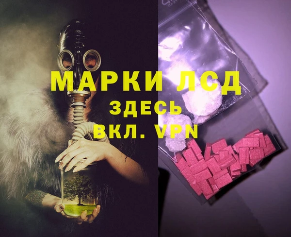 гидра Богородицк