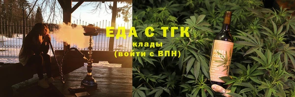 гидра Богородицк